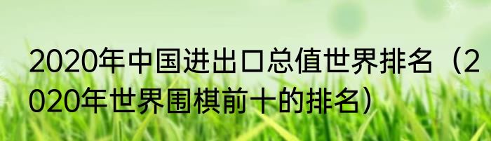 2020年中国进出口总值世界排名（2020年世界围棋前十的排名）
