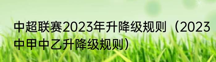 中超联赛2023年升降级规则（2023中甲中乙升降级规则）