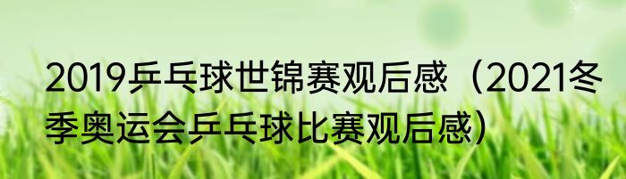 2019乒乓球世锦赛观后感（2021冬季奥运会乒乓球比赛观后感）