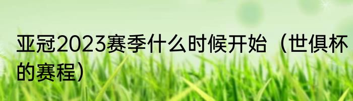 亚冠2023赛季什么时候开始（世俱杯的赛程）