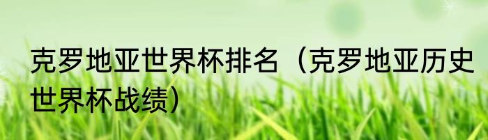 克罗地亚世界杯排名（克罗地亚历史世界杯战绩）