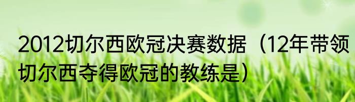 2012切尔西欧冠决赛数据（12年带领切尔西夺得欧冠的教练是）