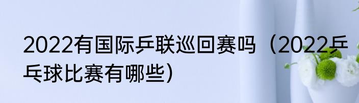 2022有国际乒联巡回赛吗（2022乒乓球比赛有哪些）