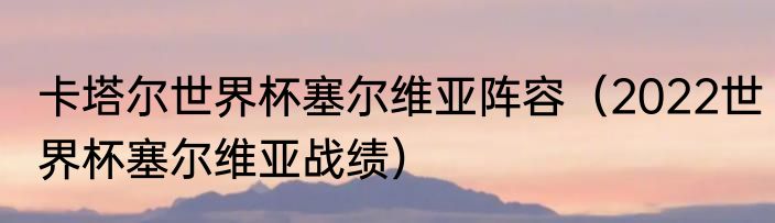 卡塔尔世界杯塞尔维亚阵容（2022世界杯塞尔维亚战绩）