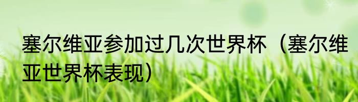 塞尔维亚参加过几次世界杯（塞尔维亚世界杯表现）