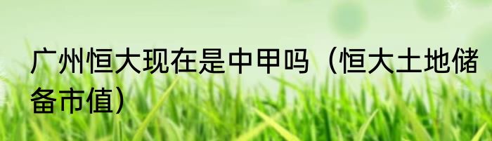 广州恒大现在是中甲吗（恒大土地储备市值）