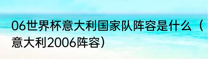 06世界杯意大利国家队阵容是什么（意大利2006阵容）
