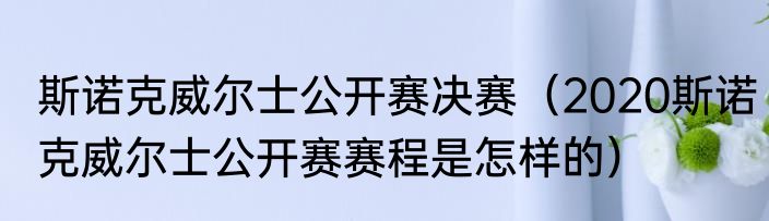 斯诺克威尔士公开赛决赛（2020斯诺克威尔士公开赛赛程是怎样的）