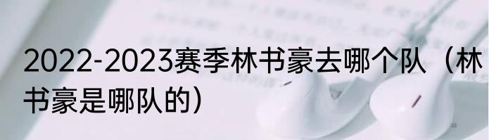 2022-2023赛季林书豪去哪个队(林书豪是哪队的)