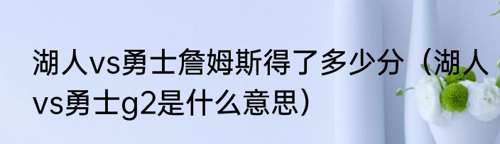 湖人vs勇士詹姆斯得了多少分（湖人vs勇士g2是什么意思）