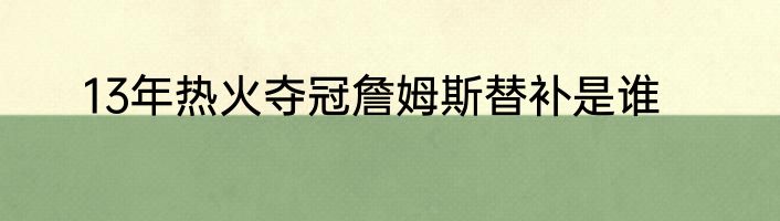 13年热火夺冠詹姆斯替补是谁