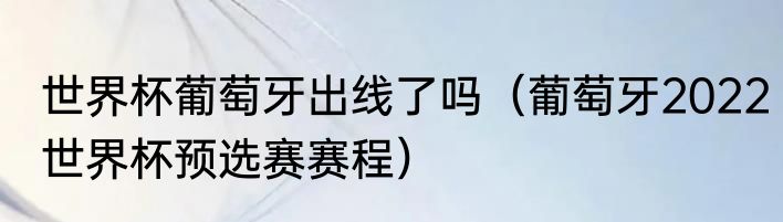 世界杯葡萄牙出线了吗（葡萄牙2022世界杯预选赛赛程）