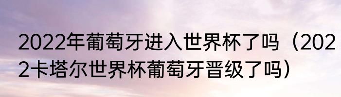 2022年葡萄牙进入世界杯了吗（2022卡塔尔世界杯葡萄牙晋级了吗）