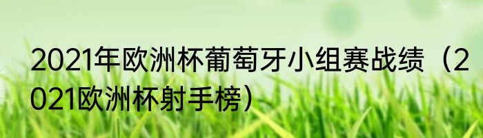 2021年欧洲杯葡萄牙小组赛战绩（2021欧洲杯射手榜）