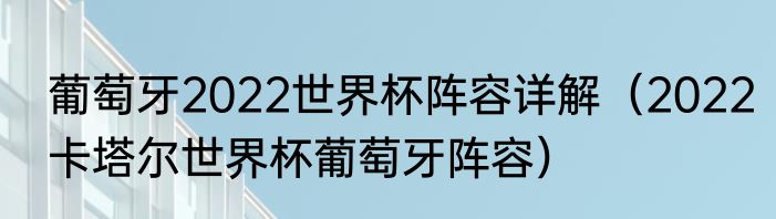 葡萄牙2022世界杯阵容详解（2022卡塔尔世界杯葡萄牙阵容）