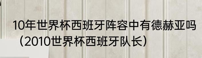10年世界杯西班牙阵容中有德赫亚吗（2010世界杯西班牙队长）