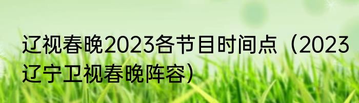 辽视春晚2023各节目时间点（2023辽宁卫视春晚阵容）