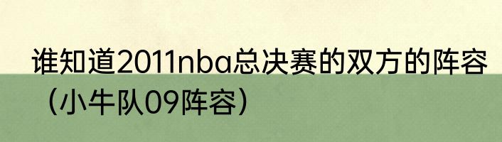 谁知道2011nba总决赛的双方的阵容（小牛队09阵容）
