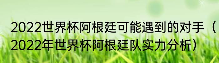 2022世界杯阿根廷可能遇到的对手（2022年世界杯阿根廷队实力分析）