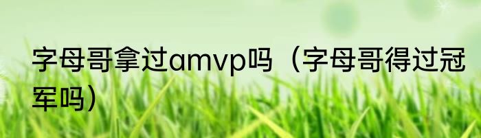 字母哥拿过amvp吗（字母哥得过冠军吗）