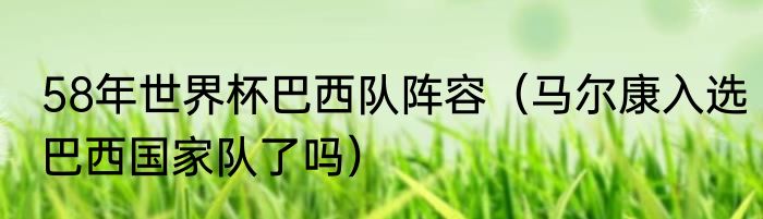 58年世界杯巴西队阵容（马尔康入选巴西国家队了吗）