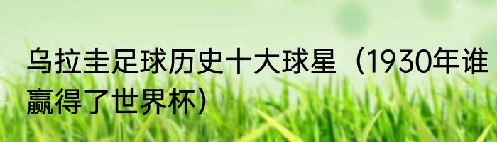 乌拉圭足球历史十大球星（1930年谁赢得了世界杯）