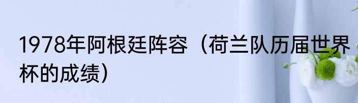 1978年阿根廷阵容（荷兰队历届世界杯的成绩）