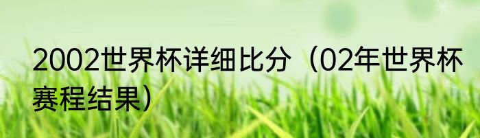 2002世界杯详细比分（02年世界杯赛程结果）