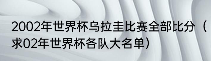 2002年世界杯乌拉圭比赛全部比分（求02年世界杯各队大名单）