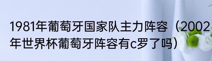 1981年葡萄牙国家队主力阵容（2002年世界杯葡萄牙阵容有c罗了吗）