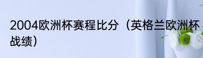 2004欧洲杯赛程比分（英格兰欧洲杯战绩）