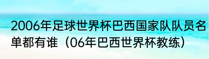 2006年足球世界杯巴西国家队队员名单都有谁（06年巴西世界杯教练）