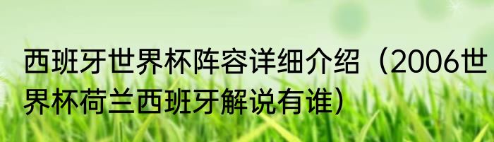 西班牙世界杯阵容详细介绍（2006世界杯荷兰西班牙解说有谁）