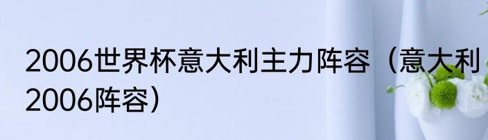 2006世界杯意大利主力阵容（意大利2006阵容）