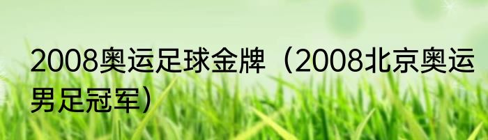 2008奥运足球金牌（2008北京奥运男足冠军）