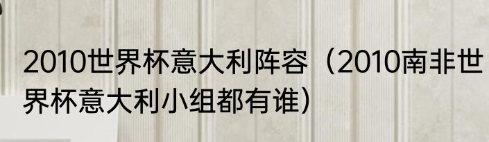 2010世界杯意大利阵容（2010南非世界杯意大利小组都有谁）