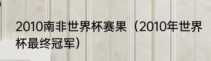 2010南非世界杯赛果（2010年世界杯最终冠军）