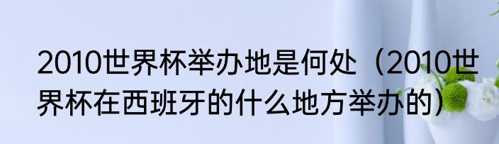 2010世界杯举办地是何处（2010世界杯在西班牙的什么地方举办的）