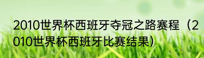 2010世界杯西班牙夺冠之路赛程（2010世界杯西班牙比赛结果）
