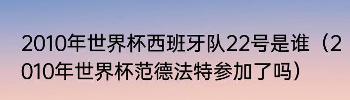 2010年世界杯西班牙队22号是谁（2010年世界杯范德法特参加了吗）