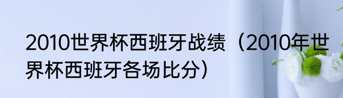 2010世界杯西班牙战绩（2010年世界杯西班牙各场比分）