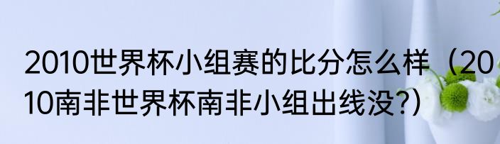 2010世界杯小组赛的比分怎么样（2010南非世界杯南非小组出线没?）