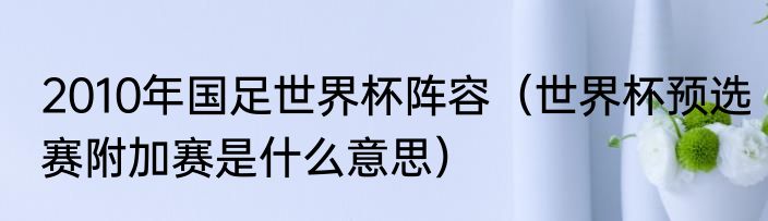 2010年国足世界杯阵容（世界杯预选赛附加赛是什么意思）