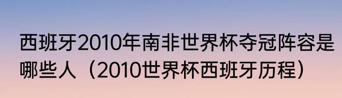 西班牙2010年南非世界杯夺冠阵容是哪些人（2010世界杯西班牙历程）