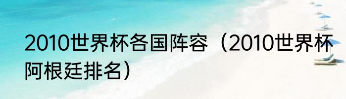 2010世界杯各国阵容（2010世界杯阿根廷排名）