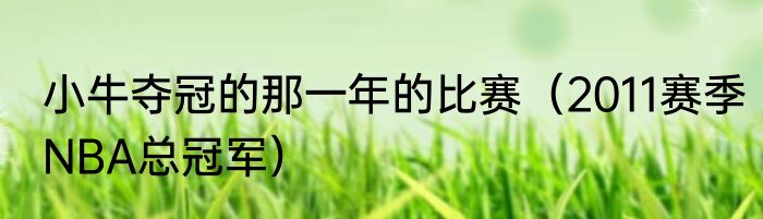小牛夺冠的那一年的比赛（2011赛季NBA总冠军）