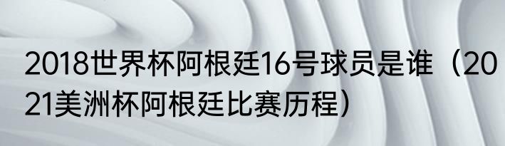 2018世界杯阿根廷16号球员是谁（2021美洲杯阿根廷比赛历程）