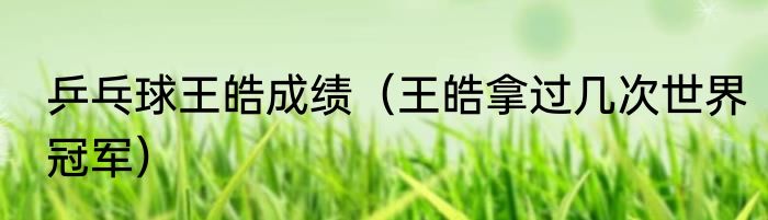 乒乓球王皓成绩(王皓拿过几次世界冠军)