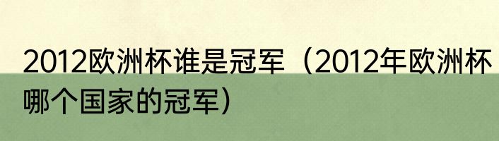 2012欧洲杯谁是冠军（2012年欧洲杯哪个国家的冠军）