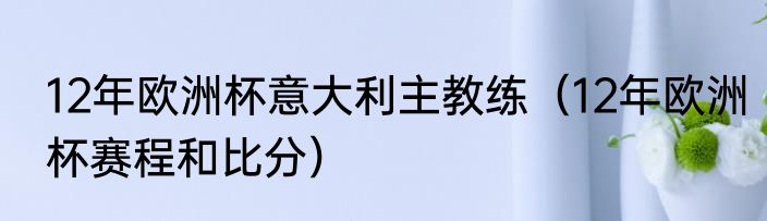 12年欧洲杯意大利主教练（12年欧洲杯赛程和比分）